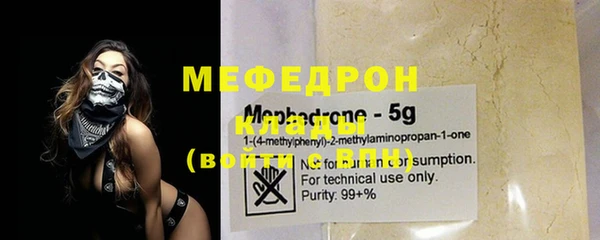 индика Саяногорск
