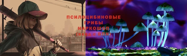индика Саяногорск