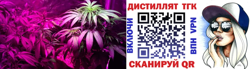 kraken зеркало  купить  сайты  Новоалександровск  ТГК THC oil 