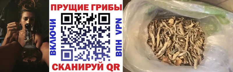 магазин Новоалександровск Псилоцибиновые грибы прущие грибы